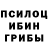 Галлюциногенные грибы Psilocybe Yasha Minecraft