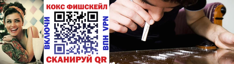Cocaine FishScale  где можно купить наркотик  Раменское 