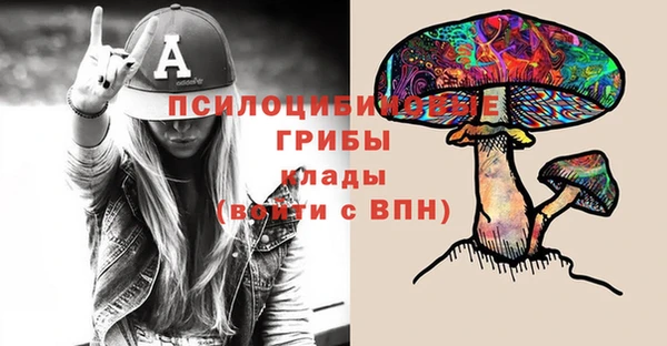 а пвп мука Верея